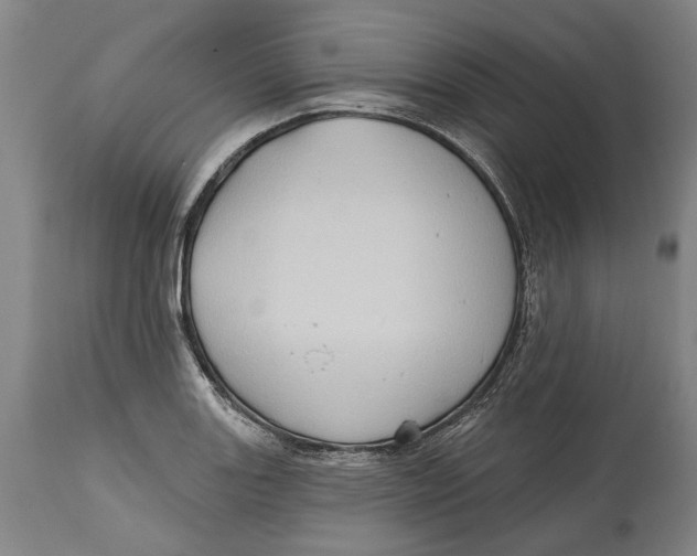 X0000114631131200911101231