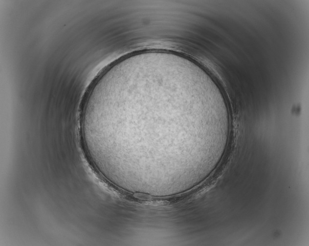 X0000114631133200911101231