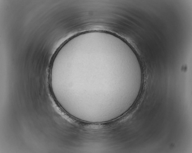 X0000114631134200911101231