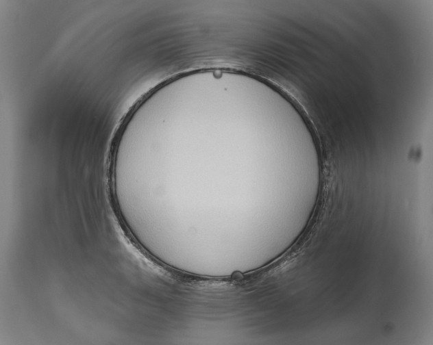 X0000114631135200911101231