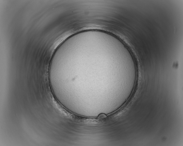 X0000114631137200911101231