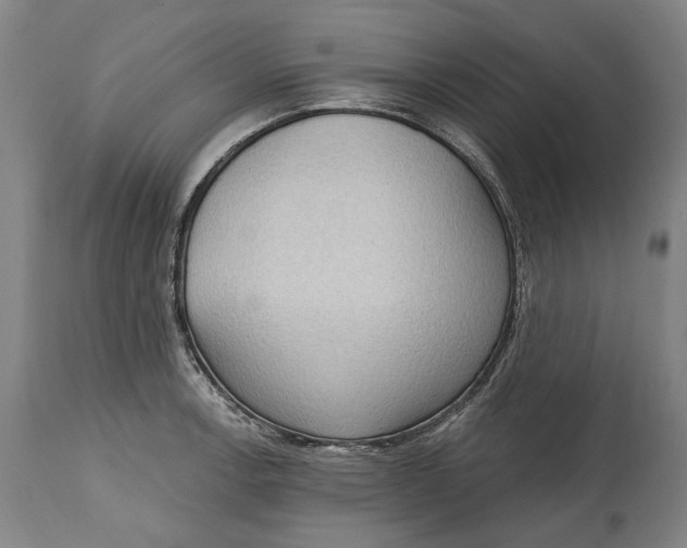 X0000114631138200911101231