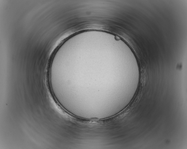 X0000114631139200911101231