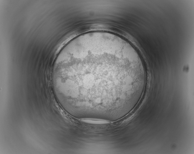 X0000114631145200911101231