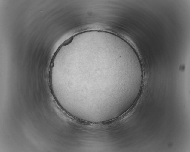 X0000114631146200911101231