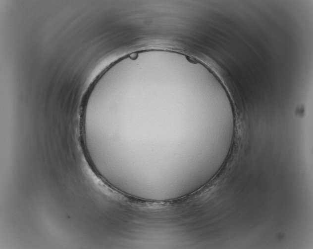 X0000114631147200911101231