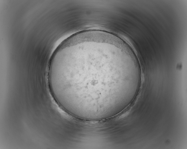 X0000114631149200911101231