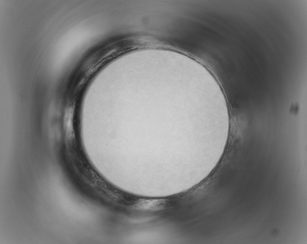 X0000114631150200911101231