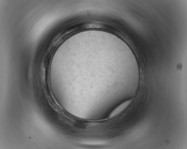 X0000114631151200911101231