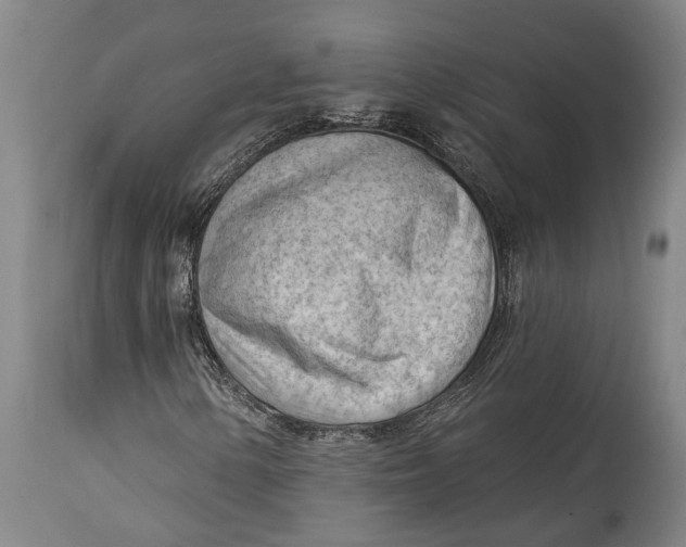 X0000114631154200911101230