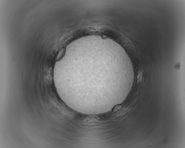 X0000114631156200911101230