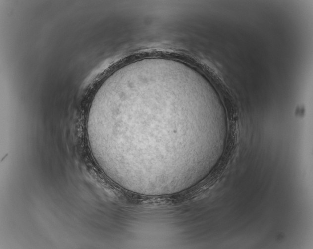 X0000114631159200911101230