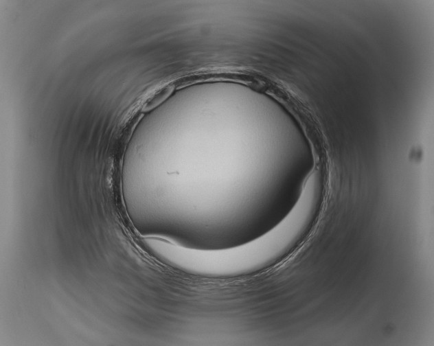 X0000114631161200911101230