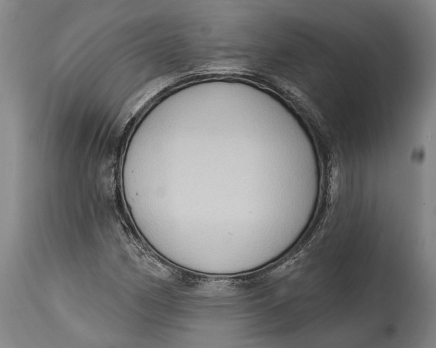 X0000114631162200911101230