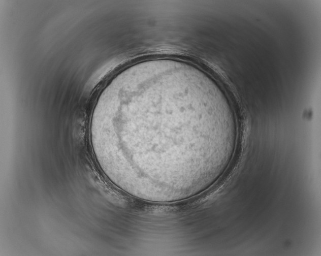 X0000114631163200911101230