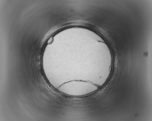 X0000114631164200911101230