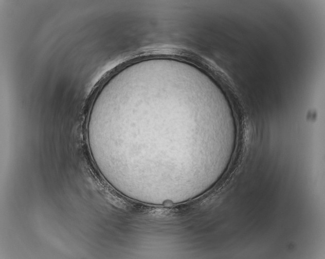 X0000114631166200911101230