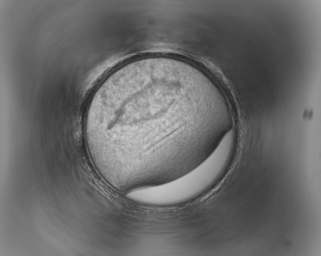 X0000114631167200911101230