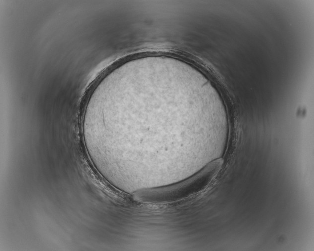 X0000114631168200911101230