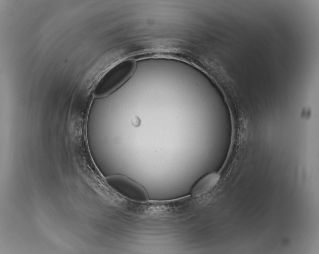 X0000114631169200911101230