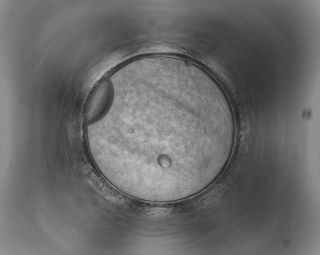 X0000114631173200911101230