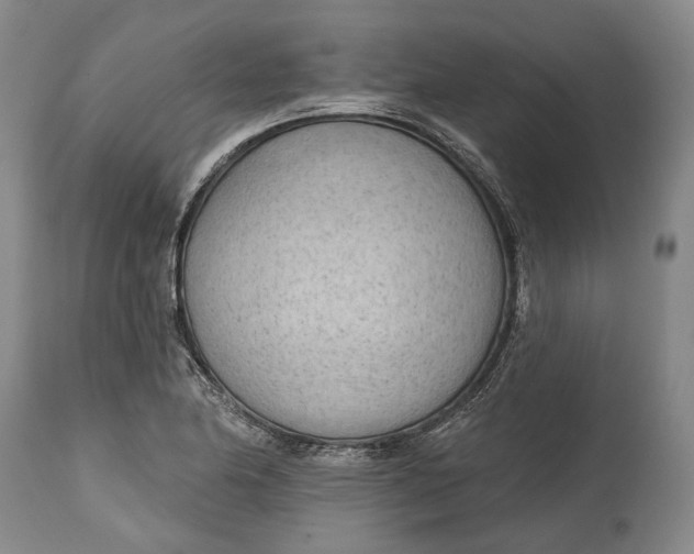 X0000114631174200911101230