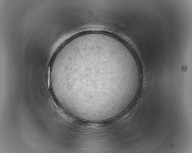 X0000114631175200911101230