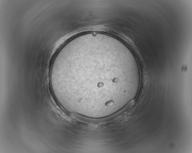 X0000114631176200911101230