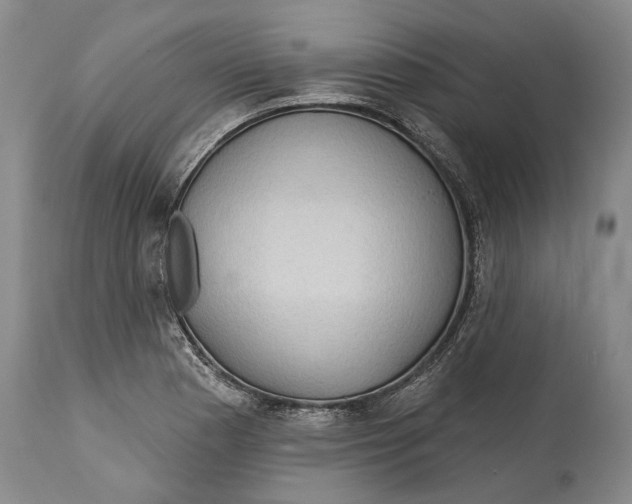 X0000114631177200911101230