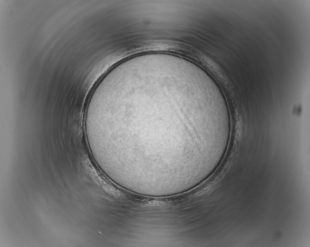 X0000114631178200911101230