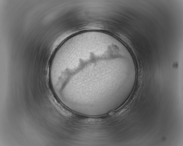 X0000114631179200911101230