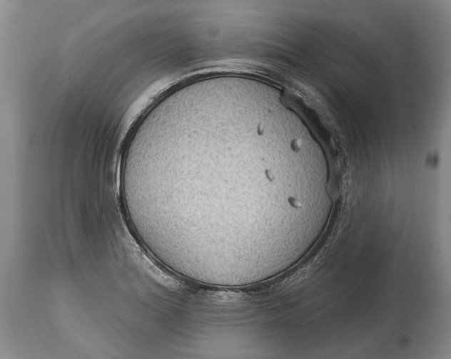 X0000114631180200911101230