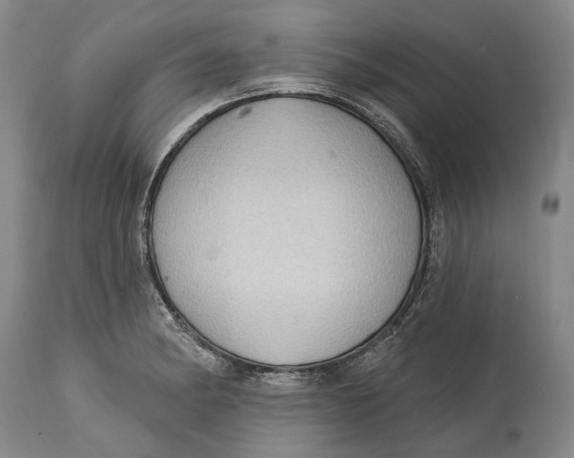 X0000114631182200911101230