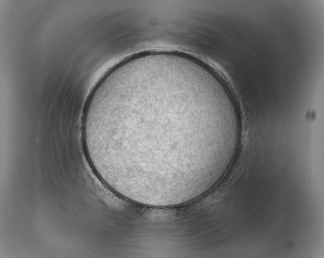 X0000114631183200911101230