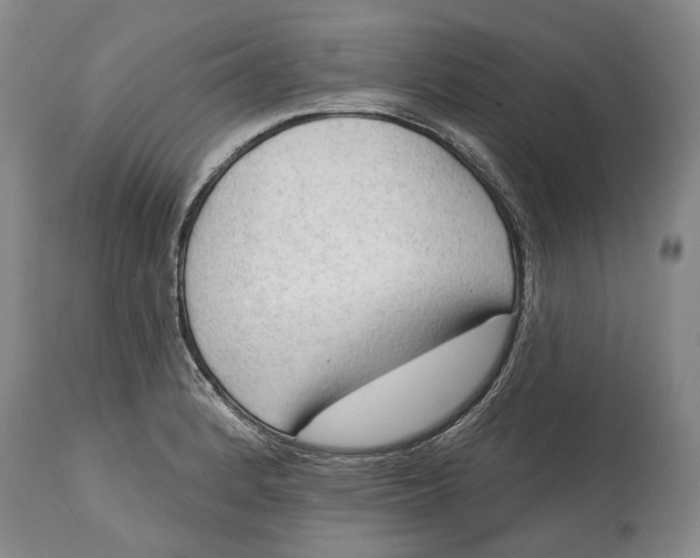 X0000114631184200911101230