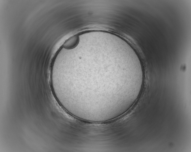 X0000114631188200911101230