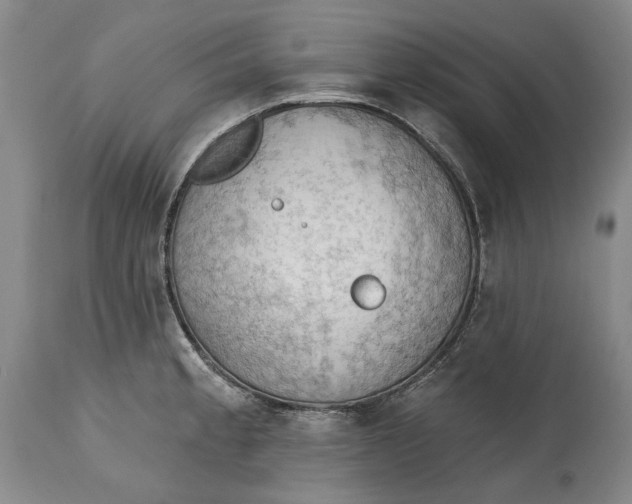 X0000114631189200911101230