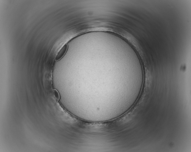 X0000114631193200911101230