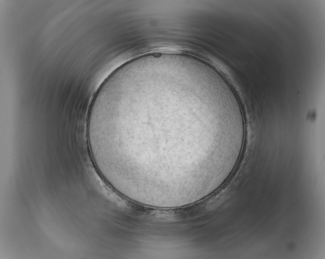 X0000114631194200911101230