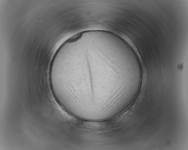 X0000114631197200911101230