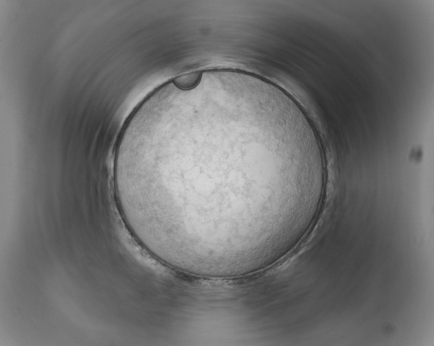 X0000114631198200911101230