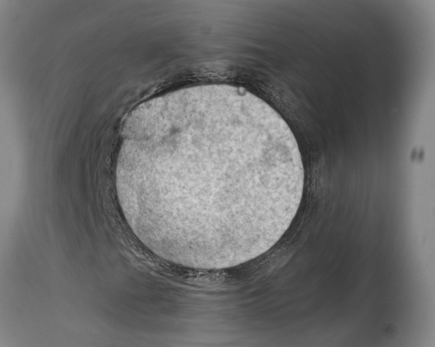 X0000114631201200911101229