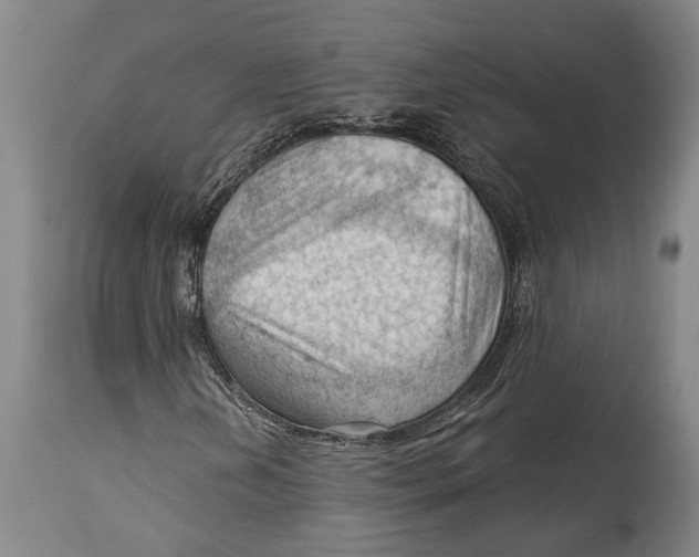 X0000114631202200911101229