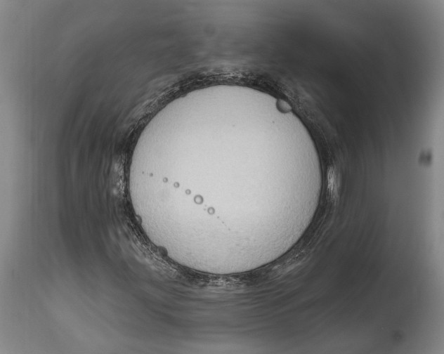 X0000114631203200911101229