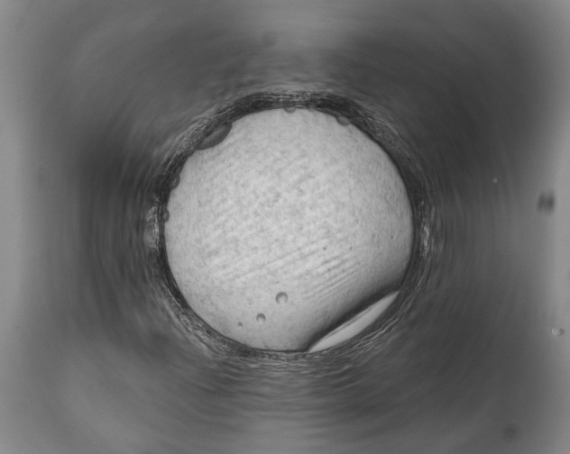 X0000114631204200911101229