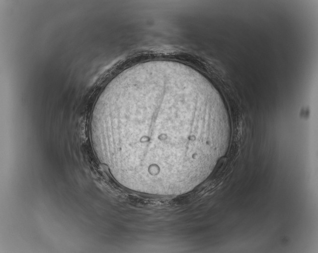 X0000114631205200911101229