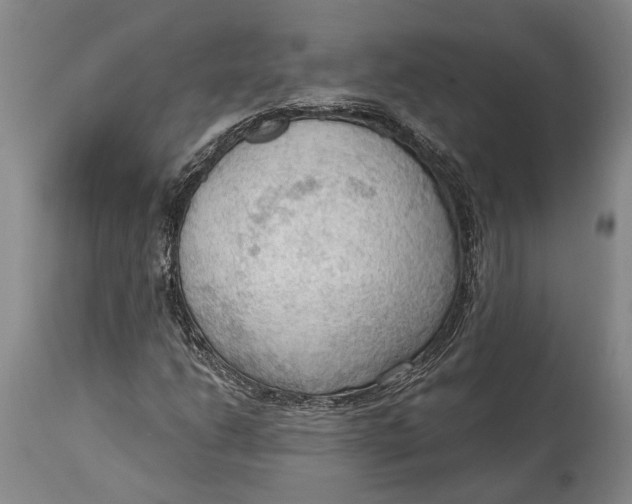 X0000114631206200911101229