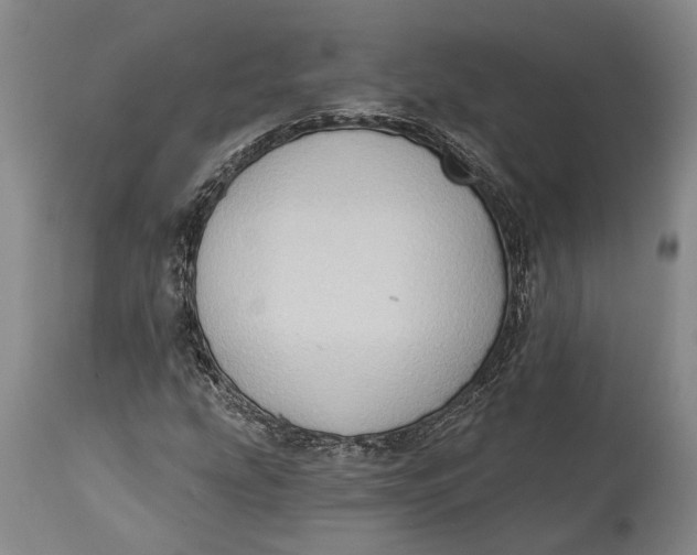 X0000114631207200911101229