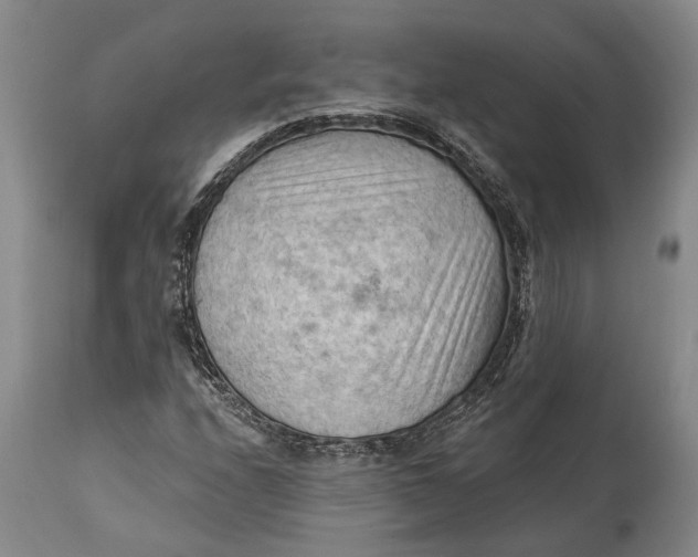 X0000114631208200911101229