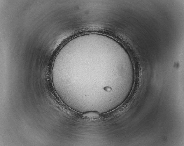 X0000114631210200911101229